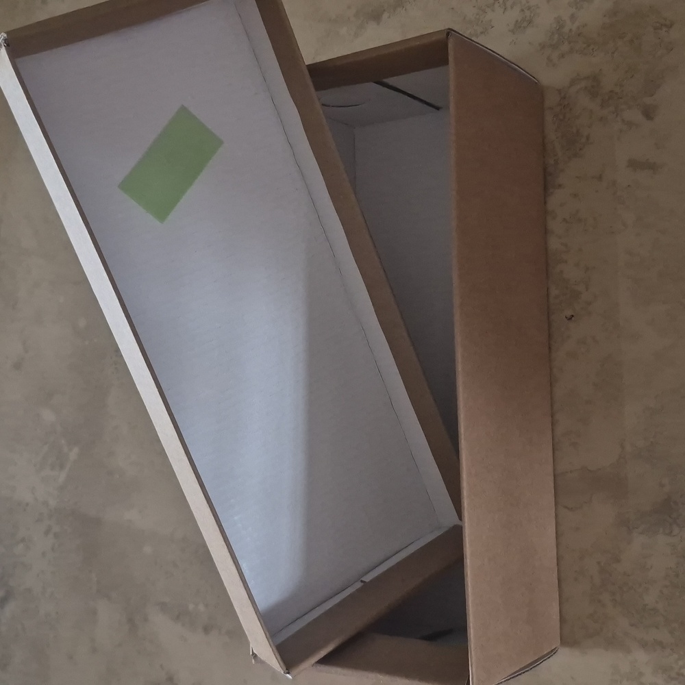 Sturdy Shoe Box